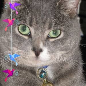 Meet your Posher, Linda